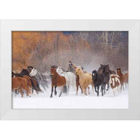 Cowboys during winter roundup-Kalispell-Montana White Modern Wood Framed Art Print by Jones, Adam