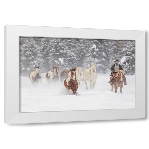 Cowboy during winter roundup-Kalispell-Montana White Modern Wood Framed Art Print by Jones, Adam