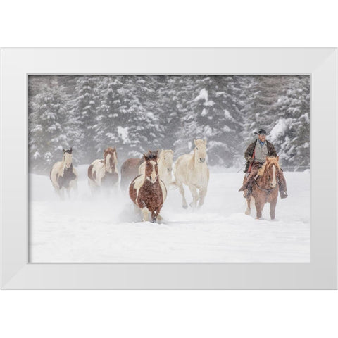 Cowboy during winter roundup-Kalispell-Montana White Modern Wood Framed Art Print by Jones, Adam