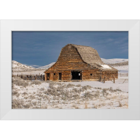 Barn in winter-Montana White Modern Wood Framed Art Print by Jones, Adam