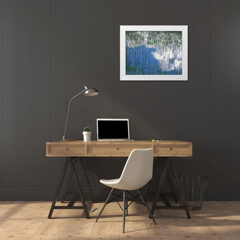 MT, Glacier NP Reflection of teasels and clouds White Modern Wood Framed Art Print by Terrill, Steve