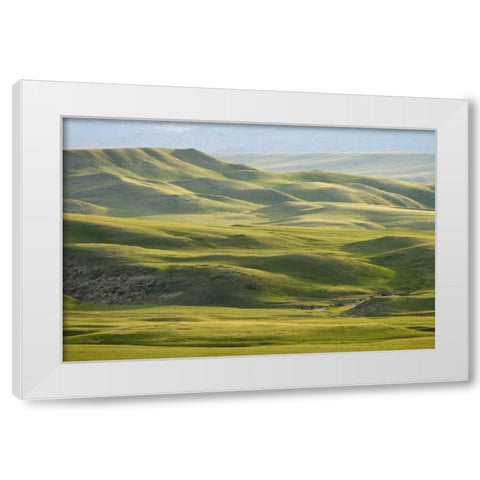 MT, Rocky Mt, Green hills east of Great Falls White Modern Wood Framed Art Print by Paulson, Don