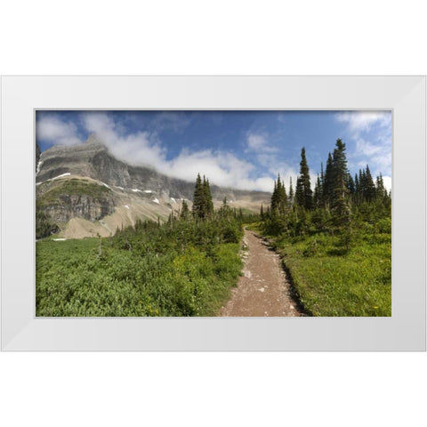 Montana, Glacier NP Hiking trail and landscape White Modern Wood Framed Art Print by Grall, Don
