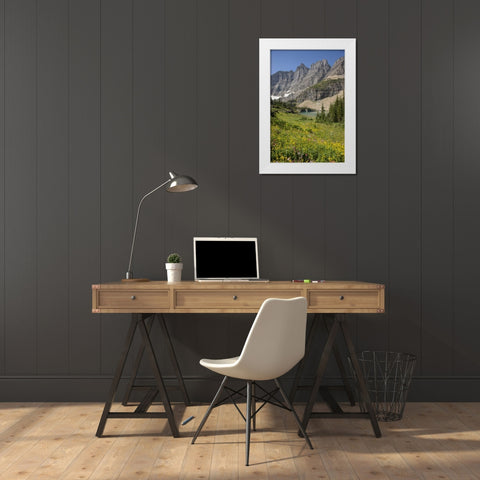 Montana, Glacier NP Meadow above Iceberg Lake White Modern Wood Framed Art Print by Grall, Don