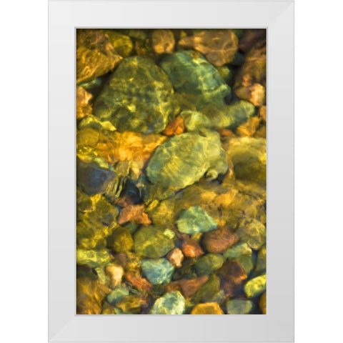 MT, Rattlesnake Wilderness Area Underwater rocks White Modern Wood Framed Art Print by Rotenberg, Nancy
