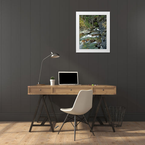 USA, Montana, Glacier NP Stream in Sunrift Gorge White Modern Wood Framed Art Print by Terrill, Steve