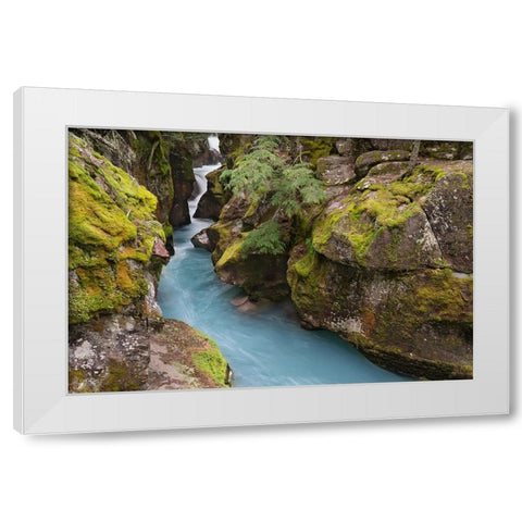 USA-Montana-Glacier National Park Glacial silt in Avalanche Creek flows through gorge White Modern Wood Framed Art Print by Jaynes Gallery