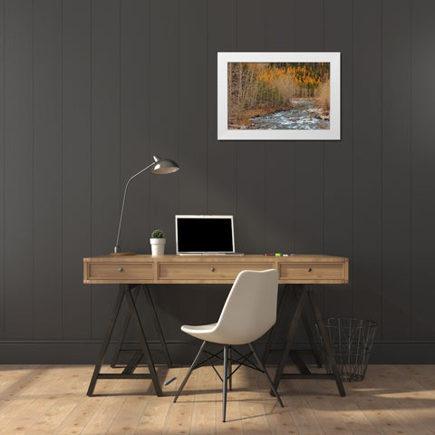 Bear Creek in autumn in the Flathead National Forest-Montana-USA White Modern Wood Framed Art Print by Haney, Chuck