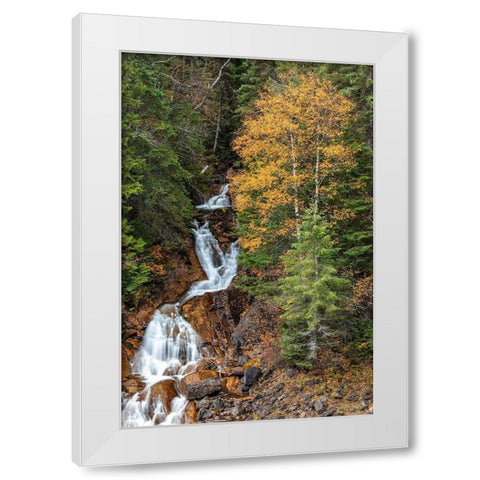 Fawn Creek Falls in autumn in the Flathead National Forest-Montana-USA White Modern Wood Framed Art Print by Haney, Chuck