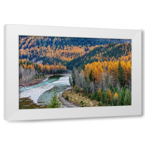 Middle Fork of the Flathead River in autumn in Glacier National Park-Montana-USA White Modern Wood Framed Art Print by Haney, Chuck