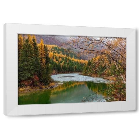 North Fork of the Flathead River in autumn in Glacier National Park-Montana-USA White Modern Wood Framed Art Print by Haney, Chuck