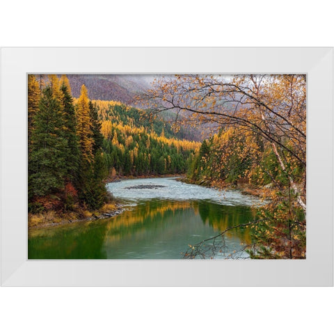 North Fork of the Flathead River in autumn in Glacier National Park-Montana-USA White Modern Wood Framed Art Print by Haney, Chuck