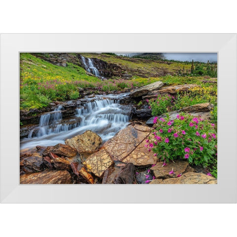 Alpine wildflowers along Oberlin Creek in Glacier National Park-Montana-USA White Modern Wood Framed Art Print by Haney, Chuck