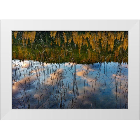 Autumn reflections in Spencer Lake near Whitefish-Montana-USA White Modern Wood Framed Art Print by Haney, Chuck