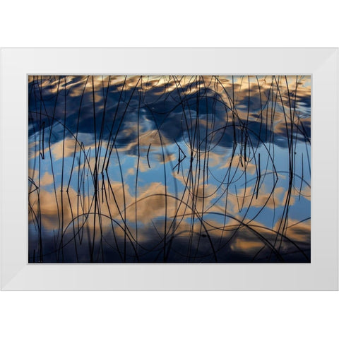 Autumn reflections in Spencer Lake near Whitefish-Montana-USA White Modern Wood Framed Art Print by Haney, Chuck