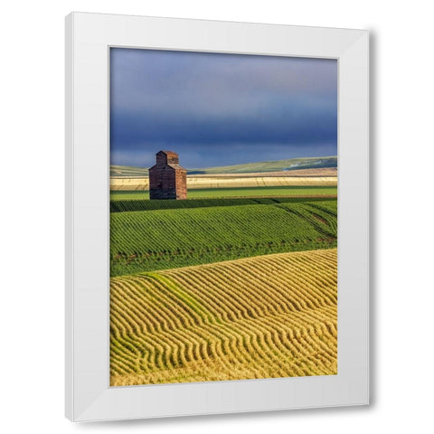 Old wooden granary in Collins-Montana-USA White Modern Wood Framed Art Print by Haney, Chuck
