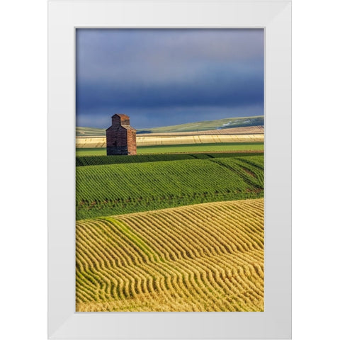 Old wooden granary in Collins-Montana-USA White Modern Wood Framed Art Print by Haney, Chuck