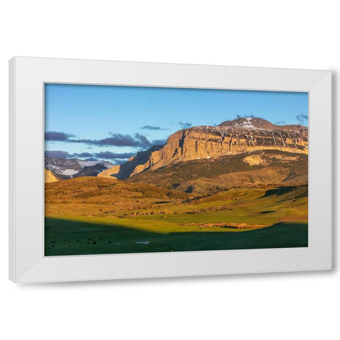 Cattle pastures below Walling Reef at sunrise near Dupuyer-Montana-USA White Modern Wood Framed Art Print by Haney, Chuck