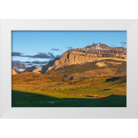 Cattle pastures below Walling Reef at sunrise near Dupuyer-Montana-USA White Modern Wood Framed Art Print by Haney, Chuck
