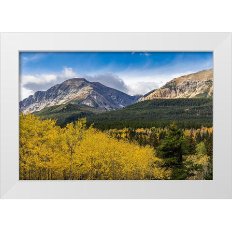 Autumn aspen grove with Bear Mountain in Glacier National Park-Montana-USA White Modern Wood Framed Art Print by Haney, Chuck