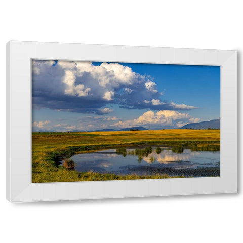 Wetlands pond in the Flathead Valley-Montana-USA White Modern Wood Framed Art Print by Haney, Chuck