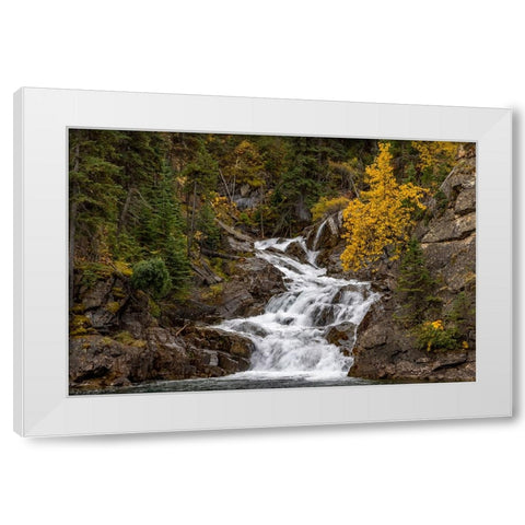 Gros Ventre Falls in autumn-Glacier National Park-Montana-USA White Modern Wood Framed Art Print by Haney, Chuck