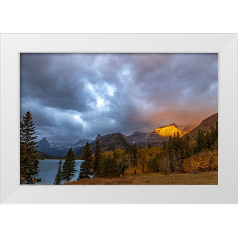 Shoulder of Mount Cleveland bathed in golden sunrise light in Glacier National Park-Montana-USA White Modern Wood Framed Art Print by Haney, Chuck