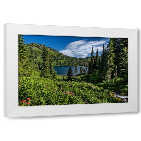 Wildcat Lake in the Jewel Basin Hiking Area of Flathead National Forest-Montana-USA White Modern Wood Framed Art Print by Haney, Chuck
