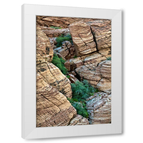 Valley of Fire-Nevada White Modern Wood Framed Art Print by Jones, Adam