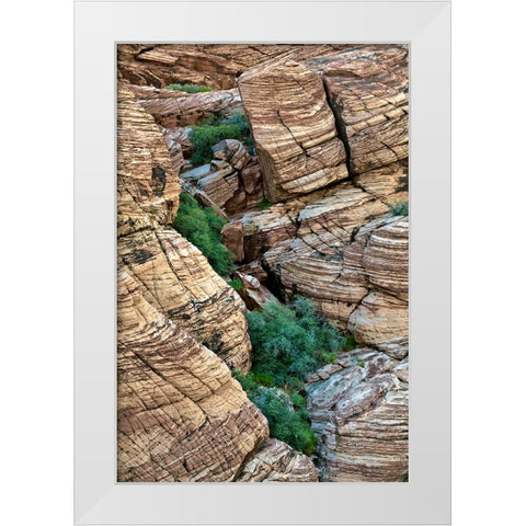 Valley of Fire-Nevada White Modern Wood Framed Art Print by Jones, Adam