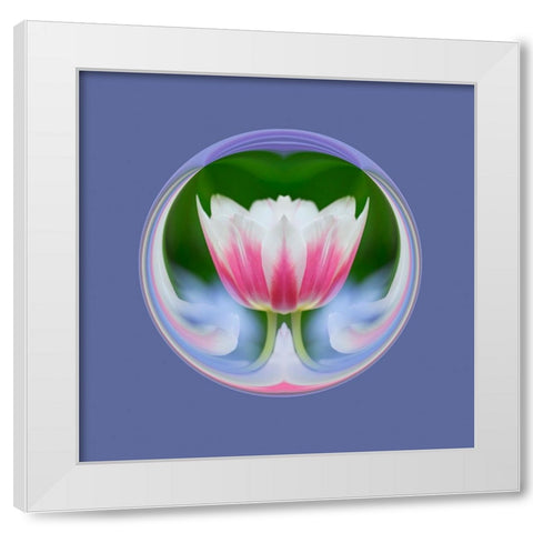 Single tulip-Las Vegas-Nevada White Modern Wood Framed Art Print by Jones, Adam