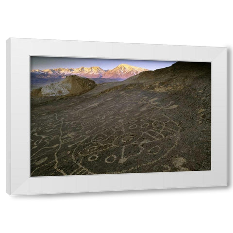 Nevada  Sierra Nevada, Great Basin, Petroglyphs White Modern Wood Framed Art Print by Flaherty, Dennis