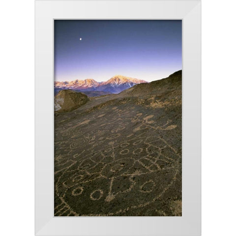 Nevada  Sierra Nevada, Great Basin, Petroglyphs White Modern Wood Framed Art Print by Flaherty, Dennis