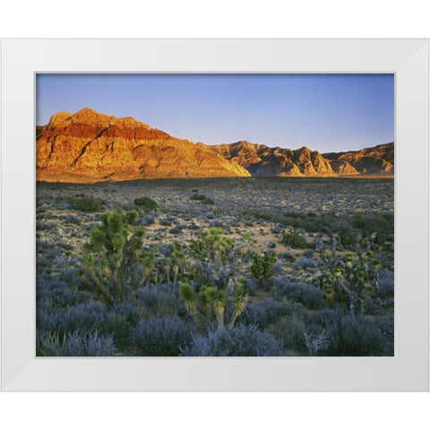 Nevada, Red Rock Canyon Sunset on hills White Modern Wood Framed Art Print by Flaherty, Dennis