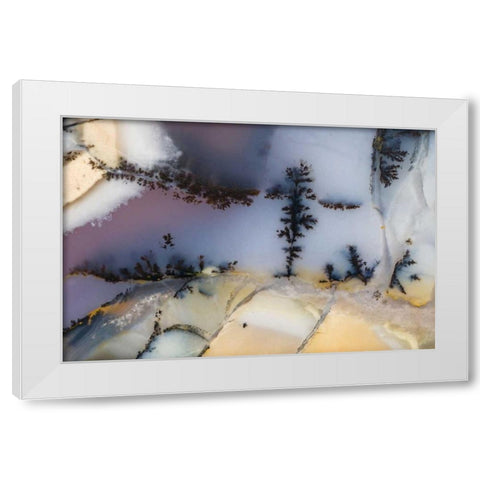 USA, Nevada Close-up of amethyst sage agate White Modern Wood Framed Art Print by Kirkland, Dennis