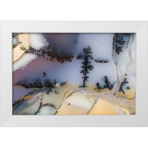 USA, Nevada Close-up of amethyst sage agate White Modern Wood Framed Art Print by Kirkland, Dennis