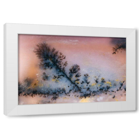 USA, Nevada Close-up of amethyst sage agate White Modern Wood Framed Art Print by Kirkland, Dennis