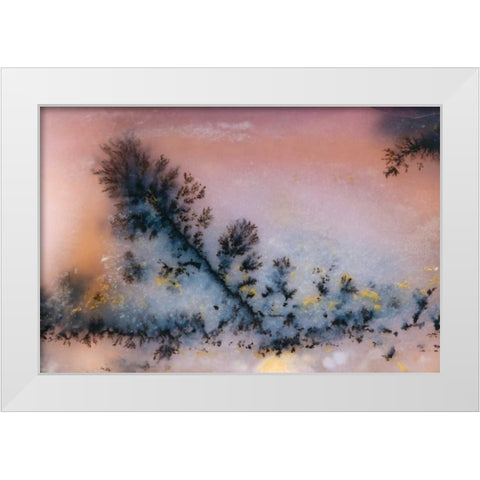 USA, Nevada Close-up of amethyst sage agate White Modern Wood Framed Art Print by Kirkland, Dennis