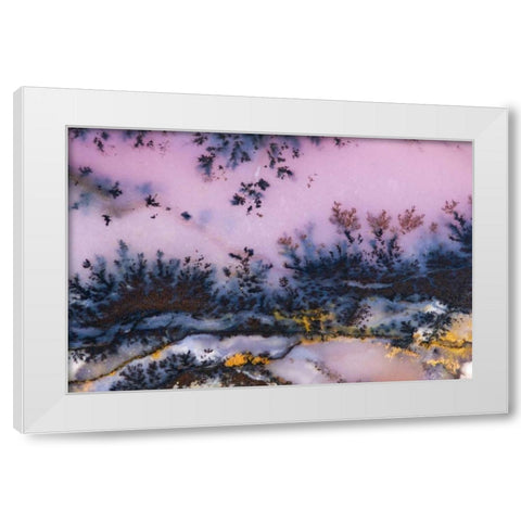 USA, Nevada Close-up of amethyst sage agate White Modern Wood Framed Art Print by Kirkland, Dennis