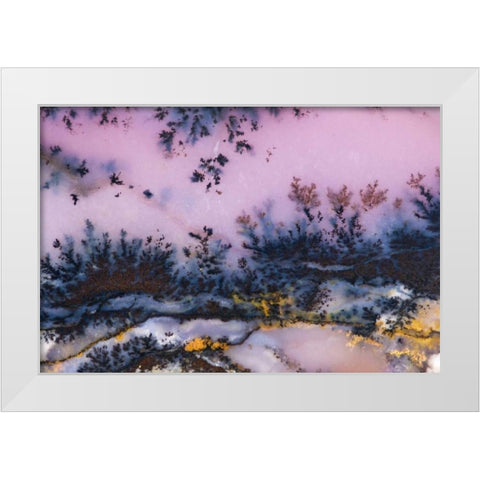 USA, Nevada Close-up of amethyst sage agate White Modern Wood Framed Art Print by Kirkland, Dennis
