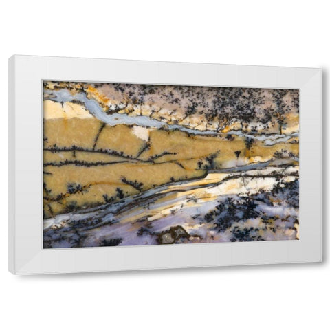 USA, Nevada Close-up of amethyst sage agate White Modern Wood Framed Art Print by Kirkland, Dennis