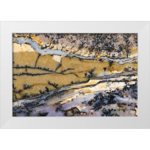 USA, Nevada Close-up of amethyst sage agate White Modern Wood Framed Art Print by Kirkland, Dennis