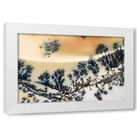 USA, Nevada Close-up of amethyst sage agate White Modern Wood Framed Art Print by Kirkland, Dennis