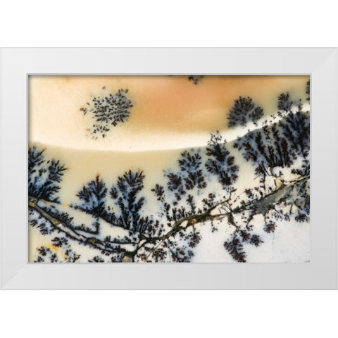 USA, Nevada Close-up of amethyst sage agate White Modern Wood Framed Art Print by Kirkland, Dennis
