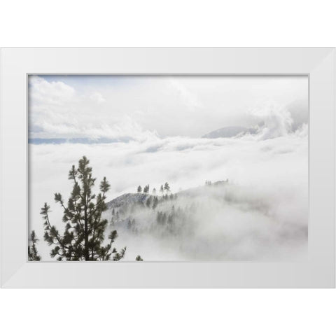 USA, Nevada View from Daggett Pass White Modern Wood Framed Art Print by Paulson, Don