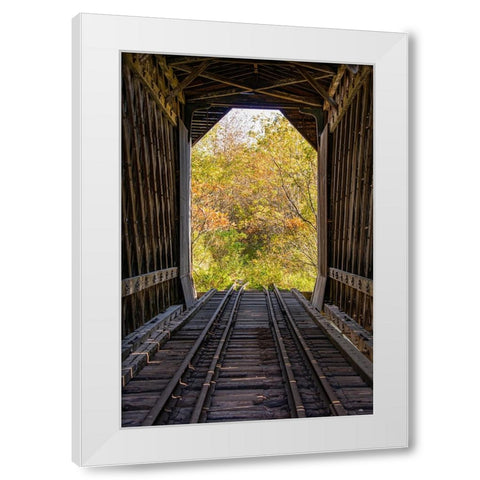 USA-New Hampshire-fall foliage White Modern Wood Framed Art Print by Jones, Allison