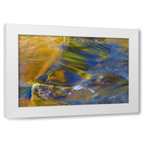 NH, White Mountain NF, Fall reflections in stream White Modern Wood Framed Art Print by Rotenberg, Nancy