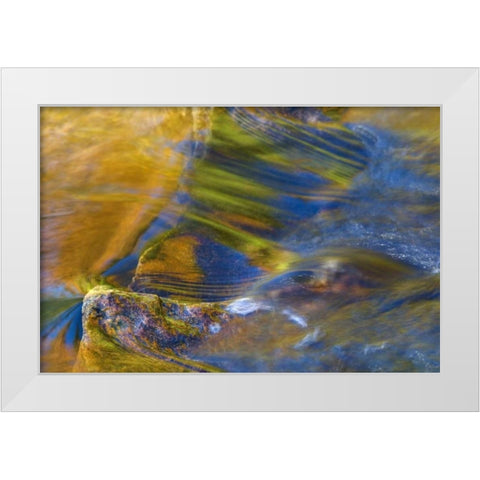 NH, White Mountain NF, Fall reflections in stream White Modern Wood Framed Art Print by Rotenberg, Nancy