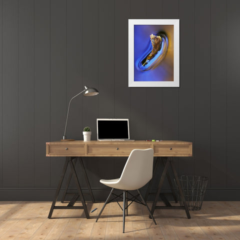 NH, Fall leaf floating in stream in reflection White Modern Wood Framed Art Print by Rotenberg, Nancy