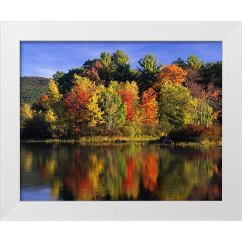 NH Trees in autumn reflecting in Lake Kanasatka White Modern Wood Framed Art Print by Terrill, Steve